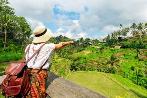 Ubud: Dolda vattenfall, risterrasser och Ulun Danu-tempel
