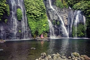 Ubud: Dolda vattenfall, risterrasser och Ulun Danu-tempel