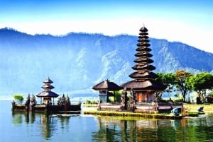 Ubud: Dolda vattenfall, risterrasser och Ulun Danu-tempel