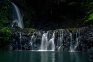 Ubud: cascata, templo Tirta Empul, terraço de arroz e baloiço