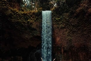 Ubud: cascata, templo Tirta Empul, terraço de arroz e baloiço