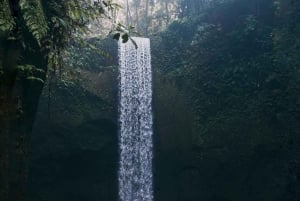 Ubud: cascata, templo Tirta Empul, terraço de arroz e baloiço