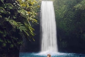 Ubud: cascata, templo Tirta Empul, terraço de arroz e baloiço
