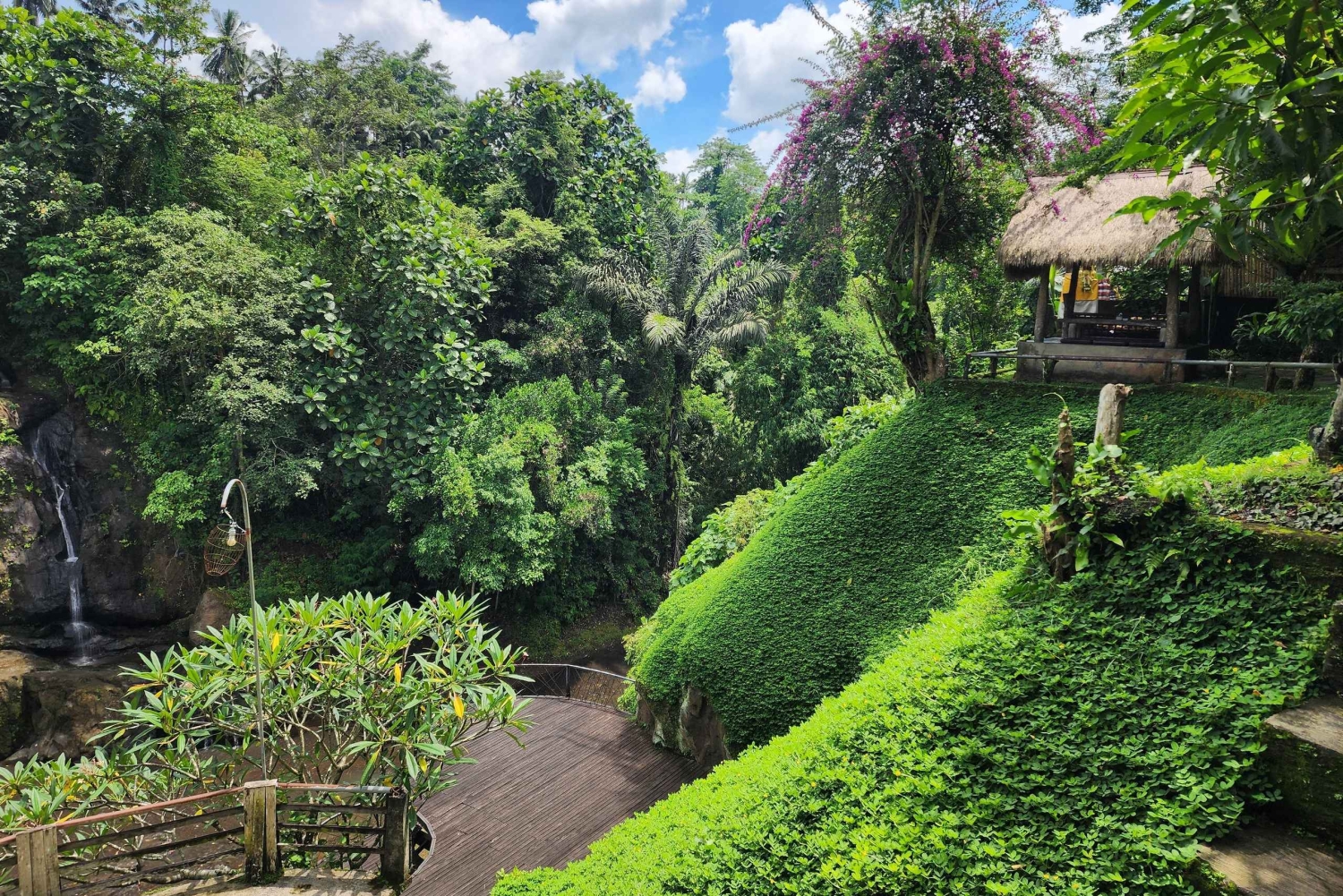 Ubud: Hidden Waterfalls, Rice terrace & Cliffside Dining