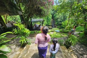 Ubud: Hidden Waterfalls, Rice terrace & Cliffside Dining