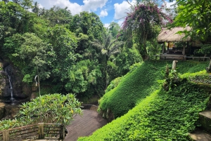 Ubud: Hidden Waterfalls, Rice terrace & Cliffside Dining