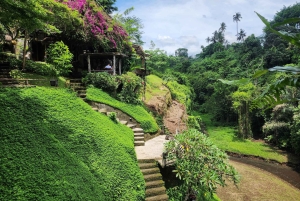 Ubud: Hidden Waterfalls, Rice terrace & Cliffside Dining