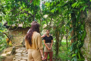 Ubud: Hidden Waterfalls, Rice terrace & Cliffside Dining