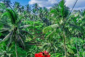 Ubud: Hidden Waterfalls, Rice terrace & Cliffside Dining