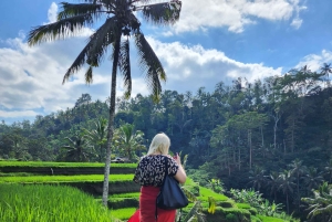 Ubud: Hidden Waterfalls, Rice terrace & Cliffside Dining