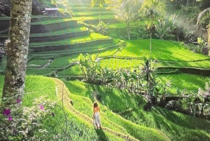 Ubud highlight private tour with english speaking driver