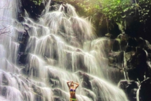 Ubud highlight private tour with english speaking driver