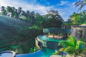 Ubud : visite privative avec tyrolienne et piscine Cretya