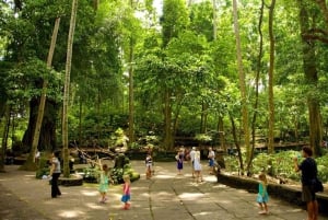 Ubud : visite privative avec tyrolienne et piscine Cretya