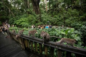 Ubud : visite privative avec tyrolienne et piscine Cretya
