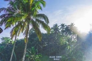 Ubud : visite privative avec tyrolienne et piscine Cretya