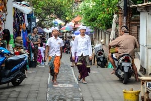 Ubud : visite en petit groupe guidée des points forts de la ville