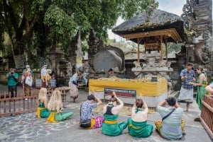 Ubud: Highlights Small Group Guided Tour