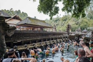 Ubud: Highlights Small Group Guided Tour