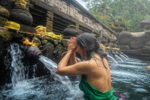 Ubud : Highlights Waterfalls, Temple & Rice Terrace Tour