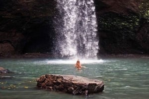 Ubud Higlights - Monkey Forest, Rice Terrace & Waterfall