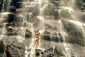 Ubud Higlights - Monkey Forest, Rice Terrace & Waterfall