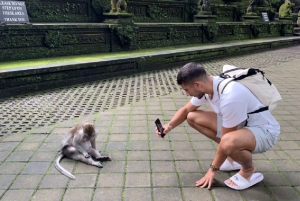 Ubud Higlights - Monkey Forest, Temple and Rice Terrace