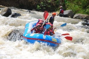 Ubud: Horse Riding on The Beach Combo Experience