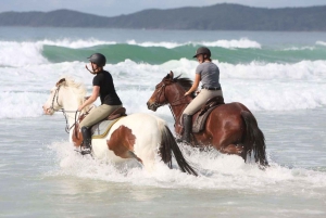 Ubud: Horse Riding on The Beach Combo Experience