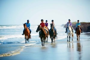 Ubud: Excursión a caballo, tirolina y cascada de Manuaba