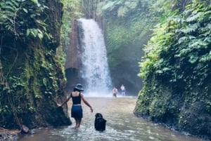Ubud: Ridetur, zip-line-tur og tur til Manuaba-fossen