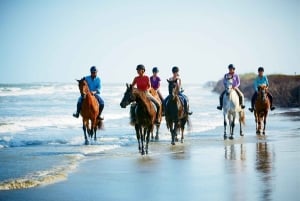 Ubud: Ridetur, zip-line-tur og tur til Manuaba-fossen