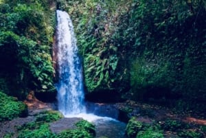 Ubud: Ridetur, zip-line-tur og tur til Manuaba-fossen