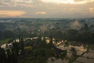 Ubud: Äventyr med varmluftsballong - se utsikter över Bali