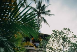 Sesión de fotos profesional en hotel o resort de Ubud con edición