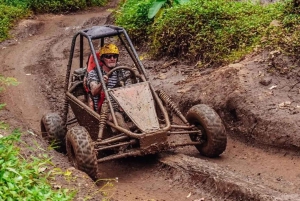 Ubud: Jungle Buggy and Paintball Adventure with Lunch