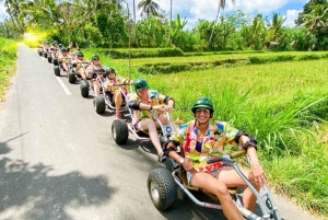 Ubud: Jungle Cart Adventure with Guide