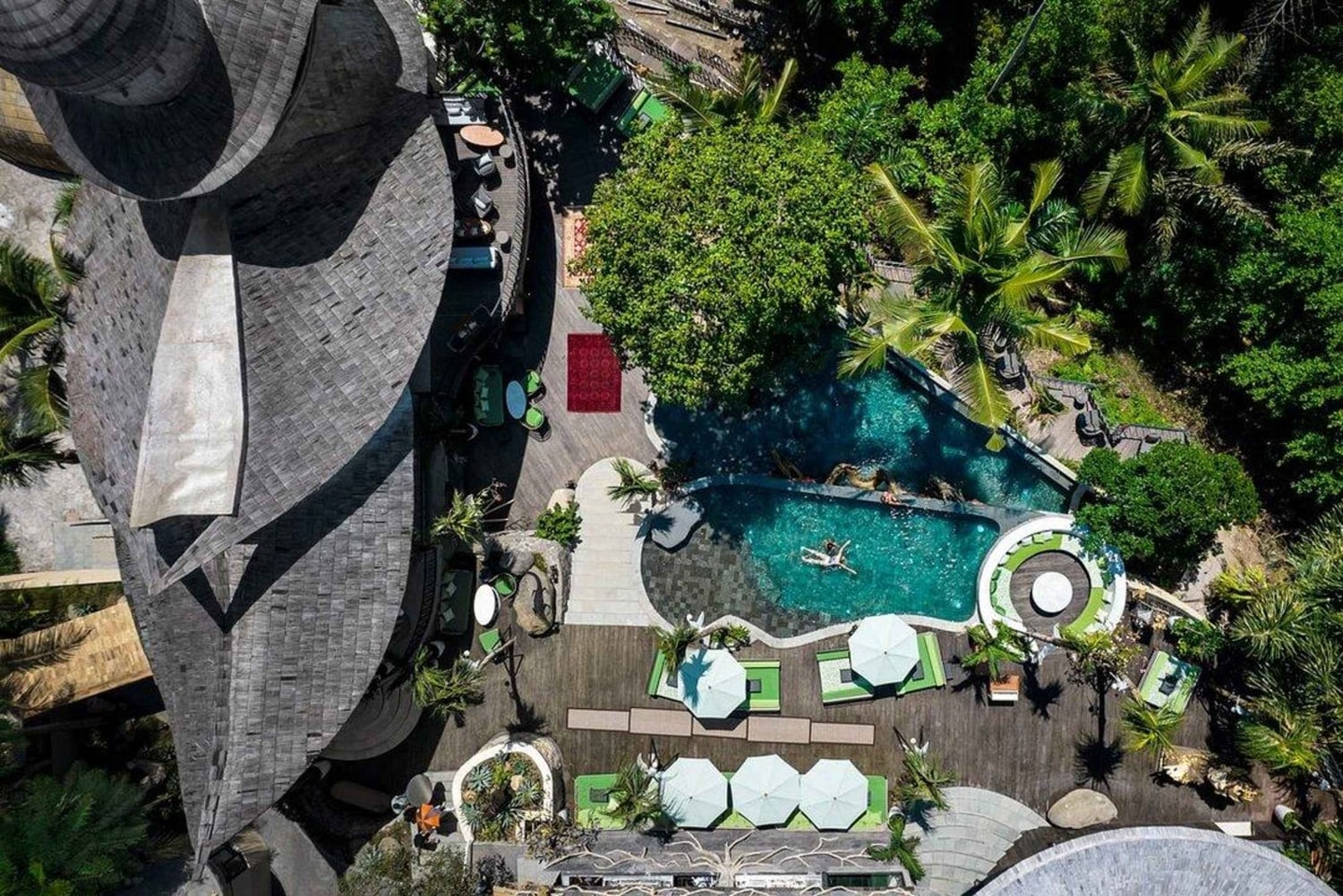 Ubud: Jungle Club-Tageskarte mit optionalen Upgrades