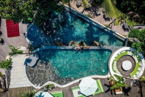 Ubud: Jungle Club-Tageskarte mit optionalen Upgrades