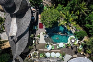 Ubud: Jungle Club-Tageskarte mit optionalen Upgrades