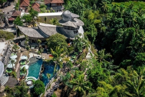 Ubud: Jungle Club-Tageskarte mit optionalen Upgrades