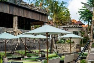 Ubud: Jungle Club-Tageskarte mit optionalen Upgrades