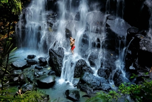 Ubud: Jungle Club, Waterfall, Market, and Tanah Lot Tour