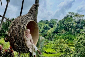 Ubud: Jungle Club, Waterfall, Market, and Tanah Lot Tour