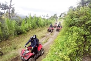 Ubud; Jungle, flod, bambusskov og mudrede quadbike-ture