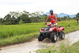 UBUD: Jungle,River, Rice Paddies and Mudy Quad Bike Tour