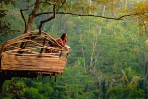 Ubud: Jungle Trampoline, Swing & Luwak Coffee with Transfer