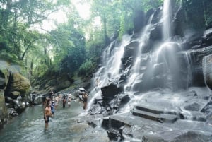 Ubud Kanto Lampo-fossen, risterrasser og Bali Swing-tur