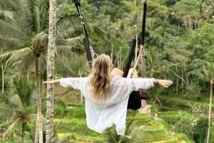 Ubud: Kanto Lampo Waterfalls, Jungle Swing, Rice Terrace