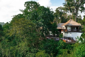 Ubud: Kayumanis Dining Corner Jungle View Dining E-Voucher